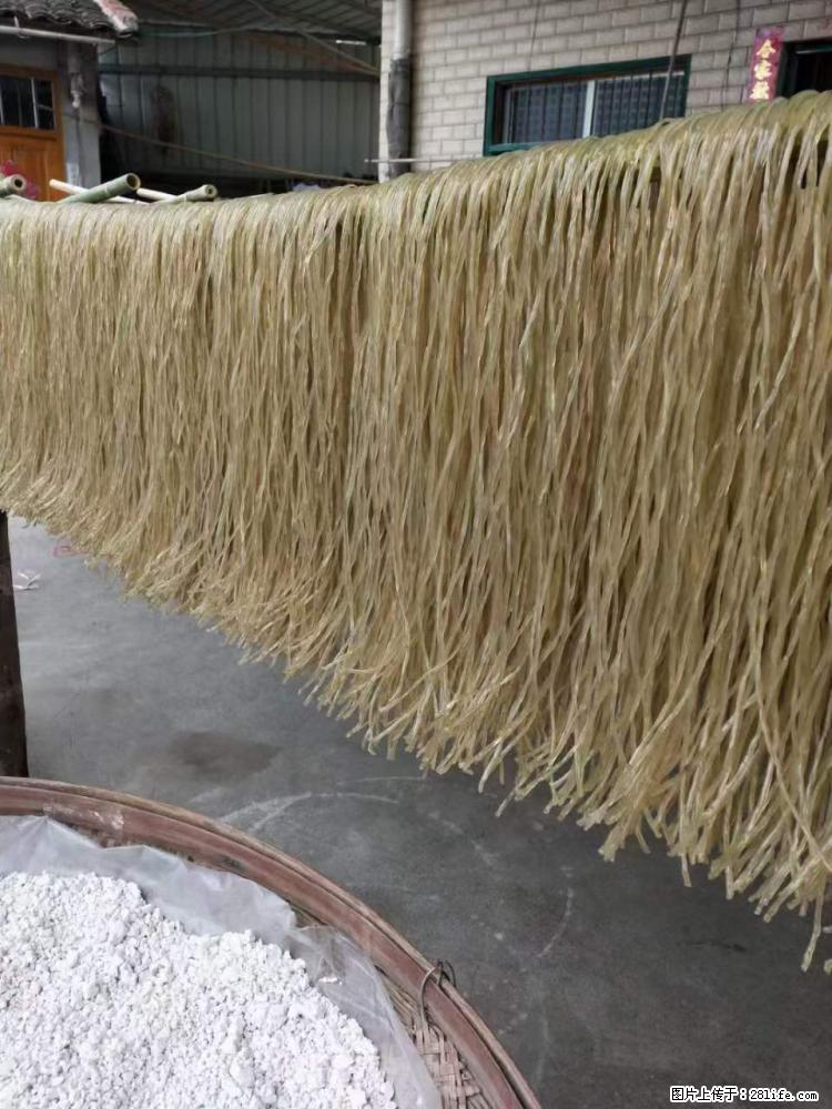 【灌阳正宗红薯粉】美女家里自己做的，干净卫生，假一赔十，价格合理，抢购电话：13737312895 - 美食天地 - 泰安生活社区 - 泰安28生活网 ta.28life.net