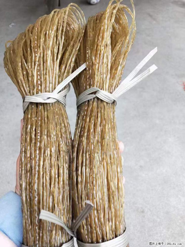 【灌阳正宗红薯粉】美女家里自己做的，干净卫生，假一赔十，价格合理，抢购电话：13737312895 - 美食天地 - 泰安生活社区 - 泰安28生活网 ta.28life.net