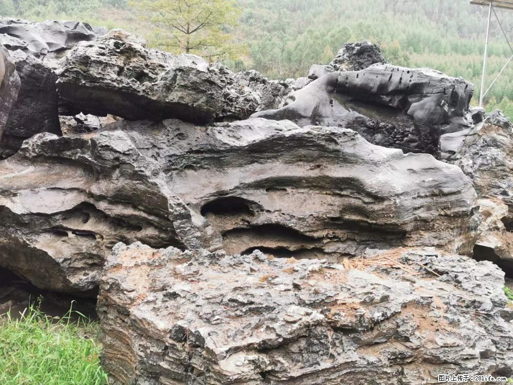 风景石、假山石大量有货，有需要的欢迎联系 - 新手上路 - 泰安生活社区 - 泰安28生活网 ta.28life.net