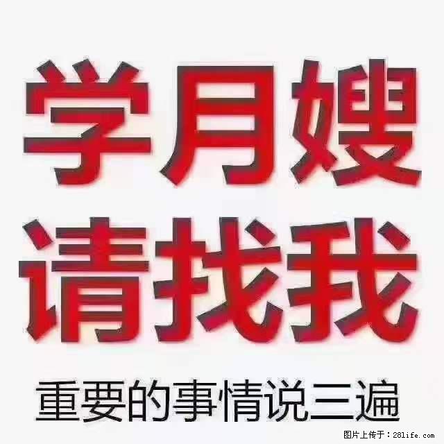为什么要学习月嫂，育婴师？ - 新手上路 - 泰安生活社区 - 泰安28生活网 ta.28life.net