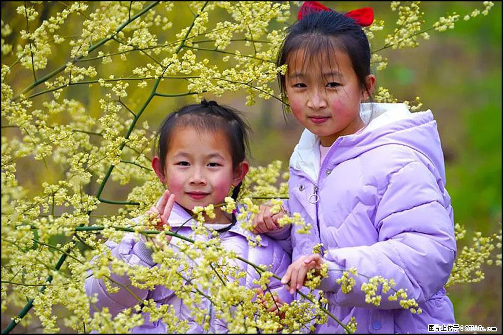 【春天，广西桂林灌阳县向您发出邀请！】米珠山前有片山苍子花在飘香 - 游山玩水 - 泰安生活社区 - 泰安28生活网 ta.28life.net