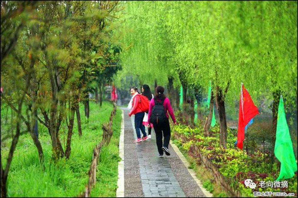 【春天，广西桂林灌阳县向您发出邀请！】江口老街又逢春 - 游山玩水 - 泰安生活社区 - 泰安28生活网 ta.28life.net