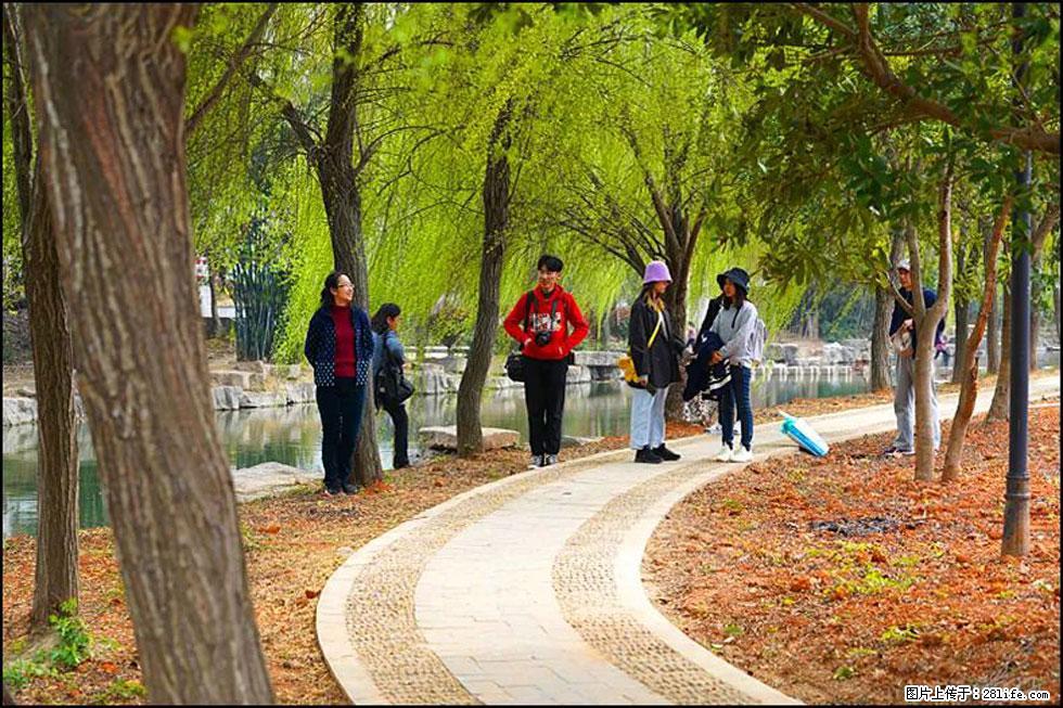 【春天，广西桂林灌阳县向您发出邀请！】江口老街又逢春 - 游山玩水 - 泰安生活社区 - 泰安28生活网 ta.28life.net