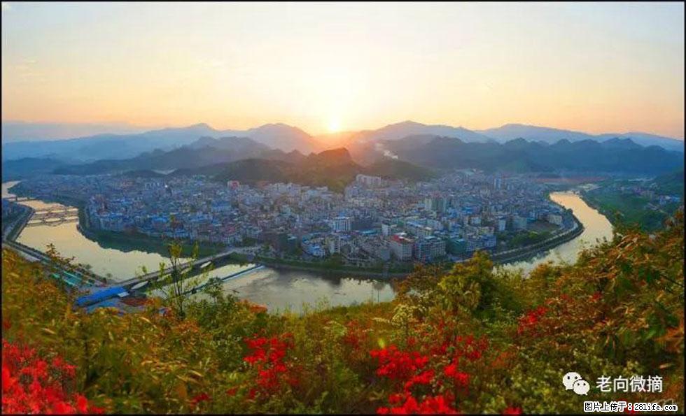 【春天，广西桂林灌阳县向您发出邀请！】登麒麟山，相约映山红 - 游山玩水 - 泰安生活社区 - 泰安28生活网 ta.28life.net