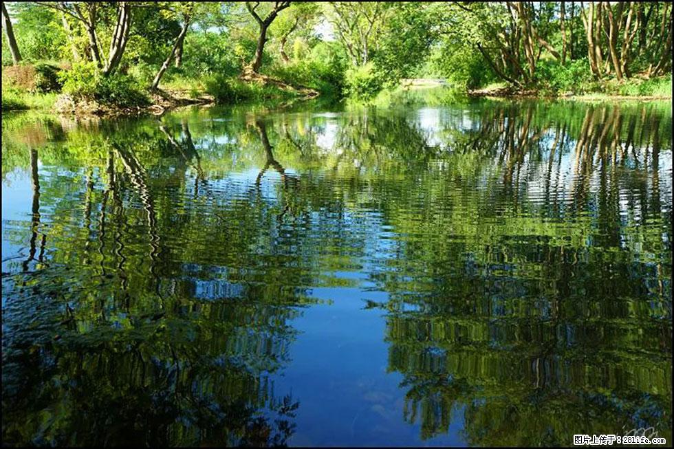 【春天，广西桂林灌阳县向您发出邀请！】熊家寨湿地公园 - 游山玩水 - 泰安生活社区 - 泰安28生活网 ta.28life.net