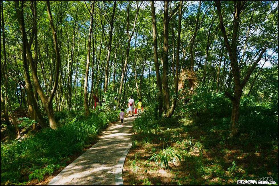 【春天，广西桂林灌阳县向您发出邀请！】熊家寨湿地公园 - 游山玩水 - 泰安生活社区 - 泰安28生活网 ta.28life.net