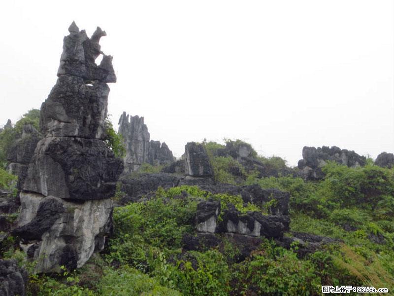 桂林旅游名城景点：灌阳文市石林 - 游山玩水 - 泰安生活社区 - 泰安28生活网 ta.28life.net