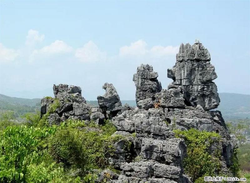 桂林旅游名城景点：灌阳文市石林 - 游山玩水 - 泰安生活社区 - 泰安28生活网 ta.28life.net
