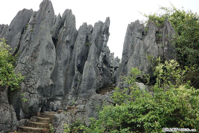 桂林旅游名城景点：灌阳文市石林 - 游山玩水 - 泰安生活社区 - 泰安28生活网 ta.28life.net