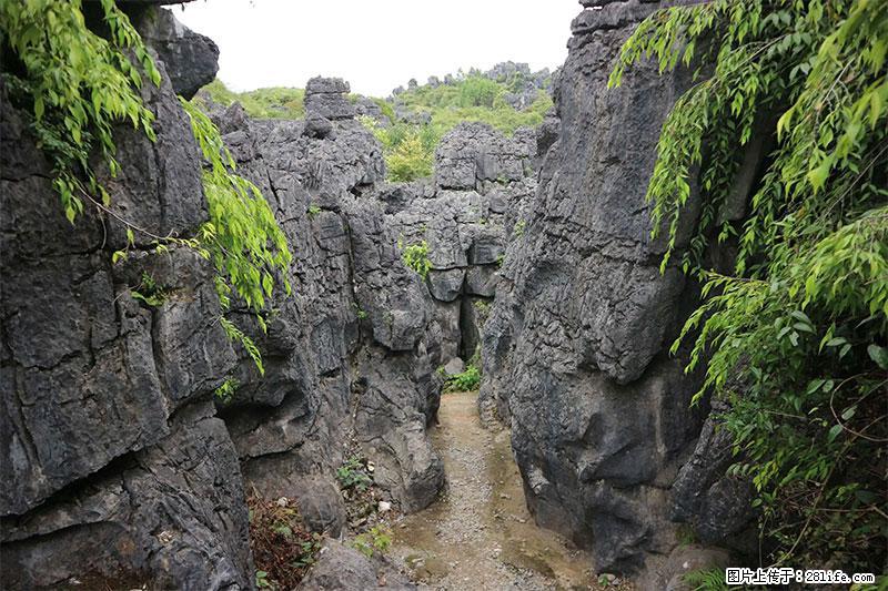 桂林旅游名城景点：灌阳文市石林 - 游山玩水 - 泰安生活社区 - 泰安28生活网 ta.28life.net
