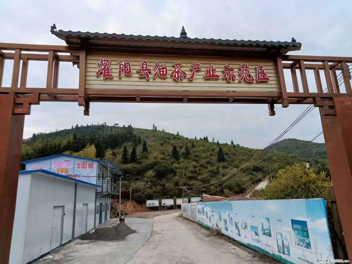 【灌阳县油茶产业示范区】一个有着充实的精神生活的人，对待身外之物自会有一种淡泊的态度 - 美食天地 - 泰安生活社区 - 泰安28生活网 ta.28life.net