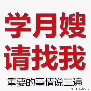 为什么要学习月嫂，育婴师？ - 泰安28生活网 ta.28life.net