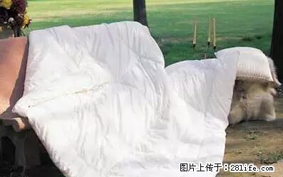 被子有异味？只要这样做，比晒太阳还强100倍！ - 家居生活 - 泰安生活社区 - 泰安28生活网 ta.28life.net