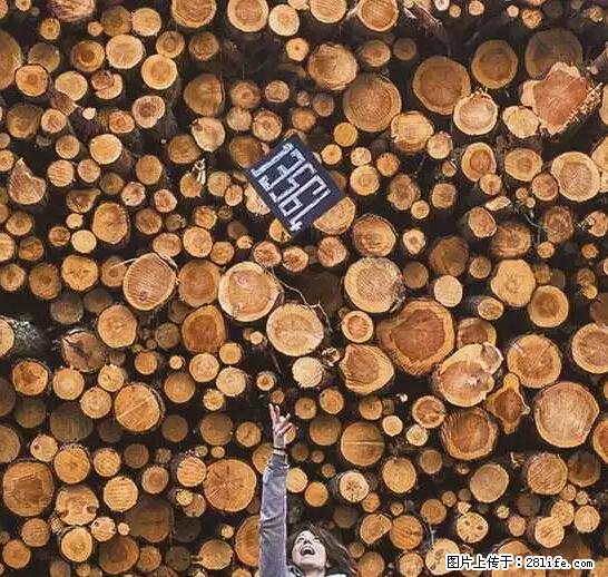 辞掉工作周游世界？现在他们在洗厕所…… - 游山玩水 - 泰安生活社区 - 泰安28生活网 ta.28life.net