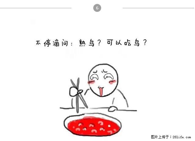 千万不要和这9种哈卵一起吃火锅！ - 美食天地 - 泰安生活社区 - 泰安28生活网 ta.28life.net