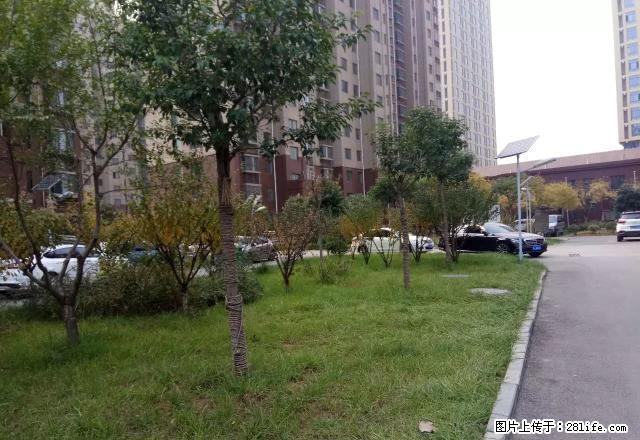 (单间出租)鲁商中心 清华苑 和园 英雄山中学 泮河小镇两室整租 - 房屋出租 - 房屋租售 - 泰安分类信息 - 泰安28生活网 ta.28life.net