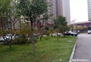 (单间出租)鲁商中心 清华苑 和园 英雄山中学 泮河小镇两室整租 - 泰安28生活网 ta.28life.net