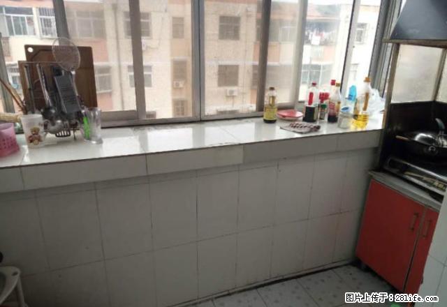 云海小区 泰师附小 一楼方便，价格合理 - 房屋出租 - 房屋租售 - 泰安分类信息 - 泰安28生活网 ta.28life.net