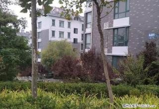 (单间出租)区政府花园洲小区 2楼新装精装3室 家电家具齐全拎包入住 - 泰安28生活网 ta.28life.net