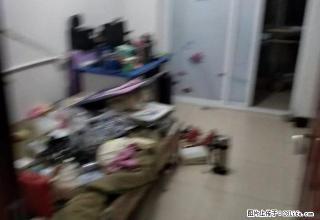 温州步行街 三里小学 壁挂炉取暖 家具家电齐全 水电气 - 泰安28生活网 ta.28life.net