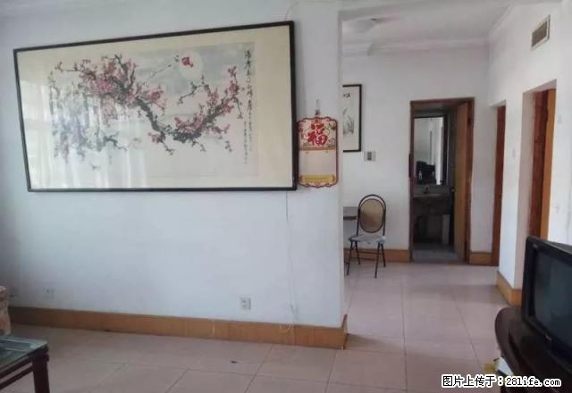 双龙居B区 新六中 花园南师小分校 电梯洋房 新房新出租 - 房屋出租 - 房屋租售 - 泰安分类信息 - 泰安28生活网 ta.28life.net