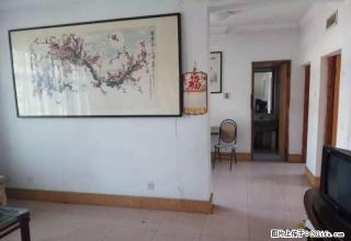 双龙居B区 新六中 花园南师小分校 电梯洋房 新房新出租 - 泰安28生活网 ta.28life.net