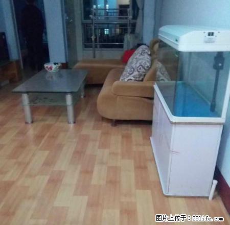 苹果园 岳峰小学 五环小区 月季花园 新城国际 新兴园 天龙 - 房屋出租 - 房屋租售 - 泰安分类信息 - 泰安28生活网 ta.28life.net
