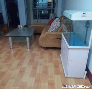 苹果园 岳峰小学 五环小区 月季花园 新城国际 新兴园 天龙 - 泰安28生活网 ta.28life.net