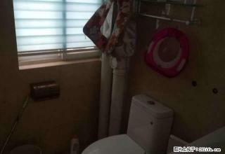 泰玻大街 御龙佳苑 电梯房 精装 全套家具 拎包即住 新华城 - 泰安28生活网 ta.28life.net