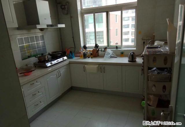 商铺转让仓库路小学、科山路科山银座西实验中学卜蜂莲花东 - 房屋出租 - 房屋租售 - 泰安分类信息 - 泰安28生活网 ta.28life.net