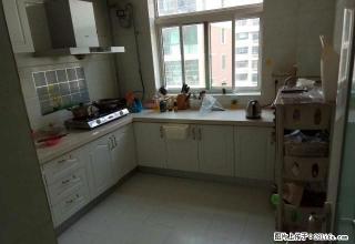 商铺转让仓库路小学、科山路科山银座西实验中学卜蜂莲花东 - 泰安28生活网 ta.28life.net