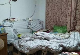 泰安二中北 温泉西区旁畜牧局宿舍 南北通透 出行方便 集暖 - 泰安28生活网 ta.28life.net