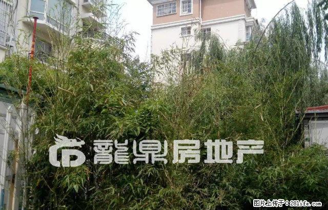 宝龙国际社区6楼123平精装拎包入住彩虹新苑嘉德现代城东华园 - 房屋出租 - 房屋租售 - 泰安分类信息 - 泰安28生活网 ta.28life.net