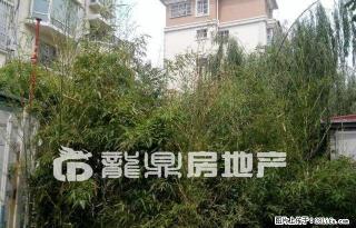宝龙国际社区6楼123平精装拎包入住彩虹新苑嘉德现代城东华园 - 泰安28生活网 ta.28life.net