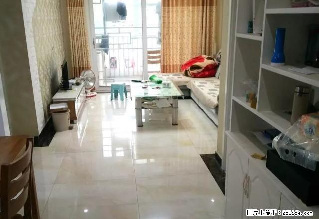 出租 三小 精装修 名士豪庭 御景花园 明珠家园 - 房屋出租 - 房屋租售 - 泰安分类信息 - 泰安28生活网 ta.28life.net