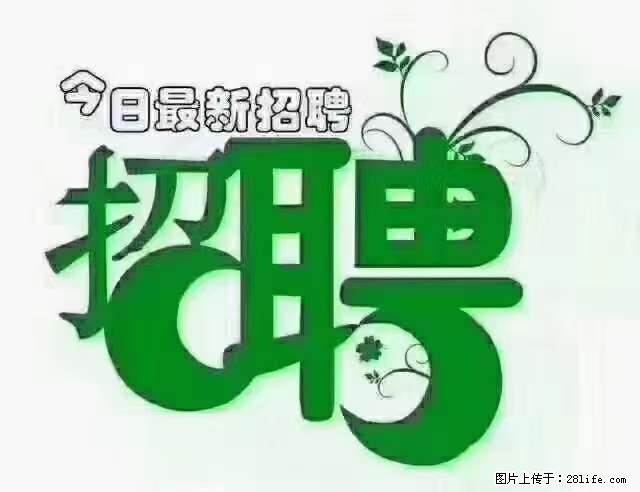 【招聘】产康师 - 职场交流 - 泰安生活社区 - 泰安28生活网 ta.28life.net