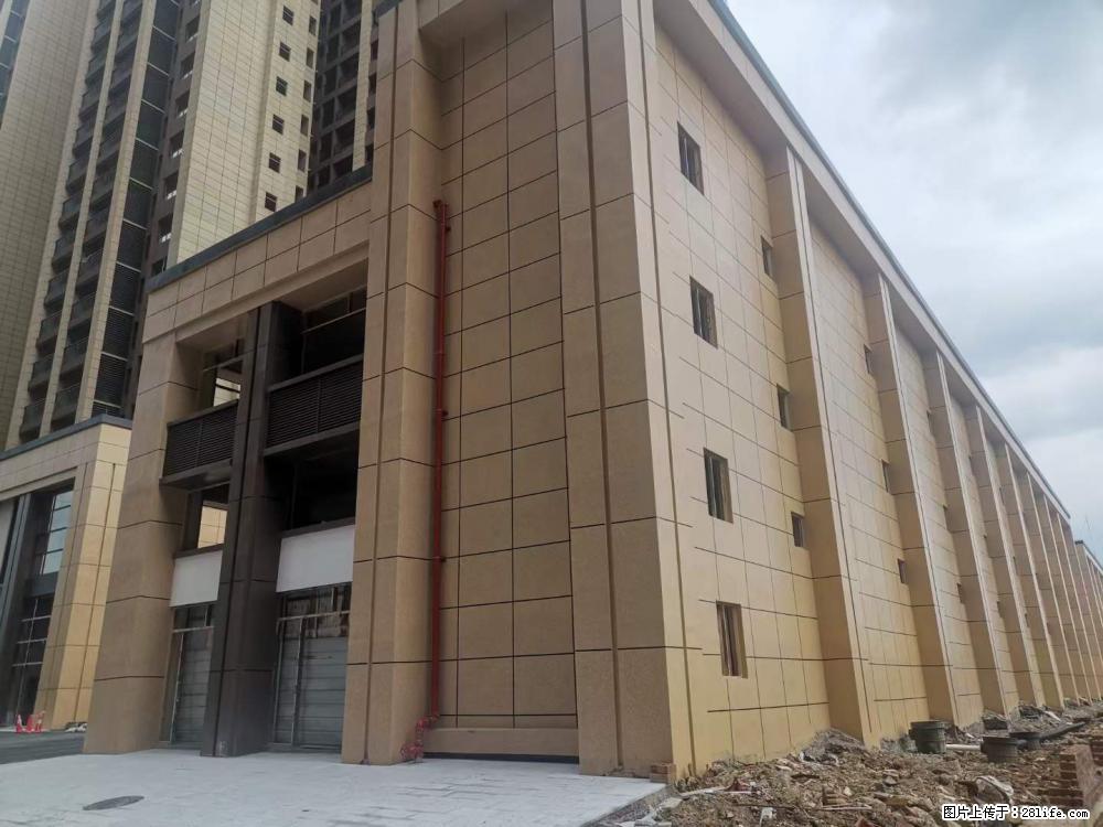 【广西三象建筑安装工程有限公司】外墙涂料工程 - 新手上路 - 泰安生活社区 - 泰安28生活网 ta.28life.net