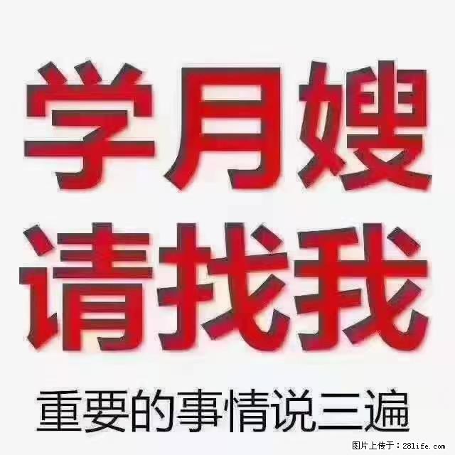 【招聘】月嫂，上海徐汇区 - 职场交流 - 泰安生活社区 - 泰安28生活网 ta.28life.net