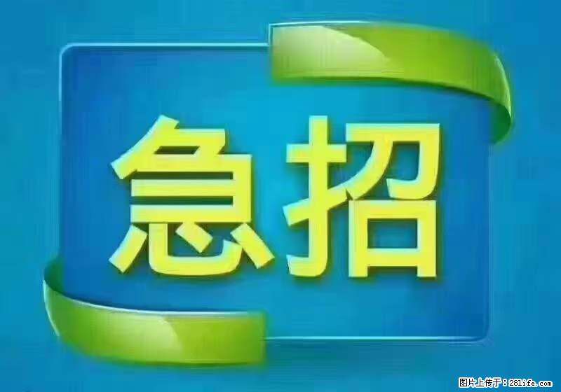 招出纳8000元/月，无证可以，要有相关经验，上海五险一金，包住，包工作餐，做六休一。 - 职场交流 - 泰安生活社区 - 泰安28生活网 ta.28life.net