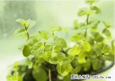 晕车、脚气、牙齿变黄、皮肤粗糙？学会这些三分钟搞定！ - 泰安生活资讯 - 泰安28生活网 ta.28life.net