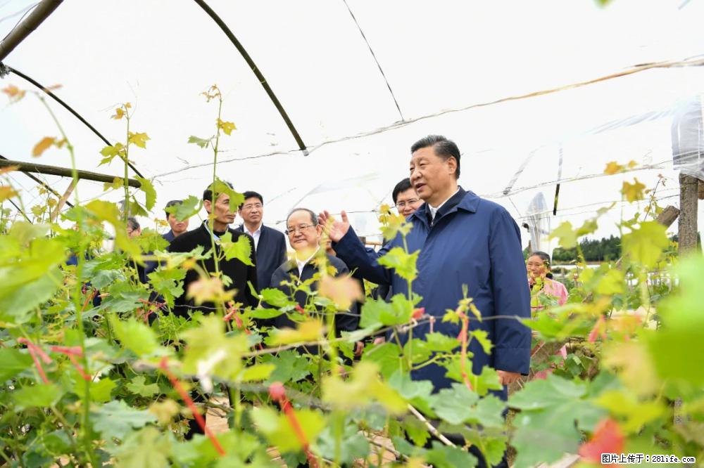 习近平赴广西考察调研 - 泰安生活资讯 - 泰安28生活网 ta.28life.net