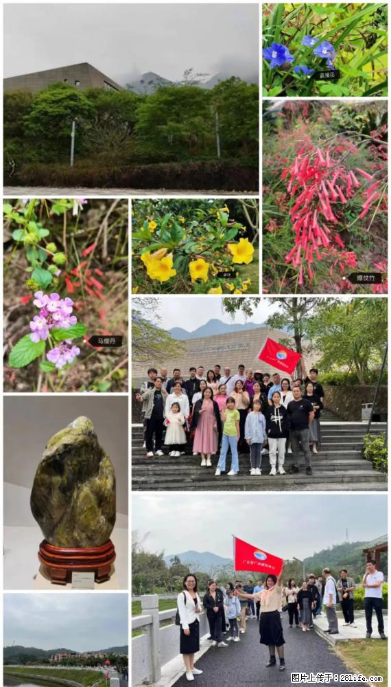 “粤灌文化 美好生活”油茶文化主题活动在广东深圳成功举办 - 泰安生活资讯 - 泰安28生活网 ta.28life.net