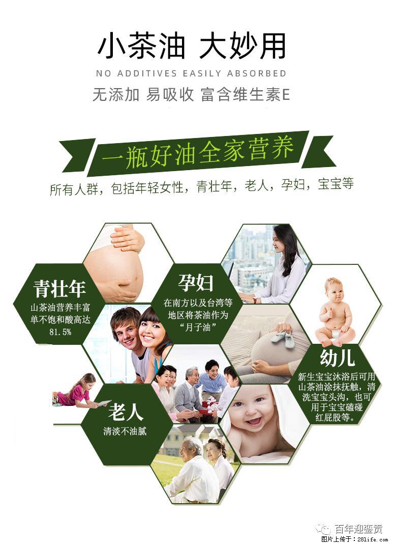 世界没有真相，只有认知，最好的食用油是中国的山茶油！ - 泰安生活资讯 - 泰安28生活网 ta.28life.net