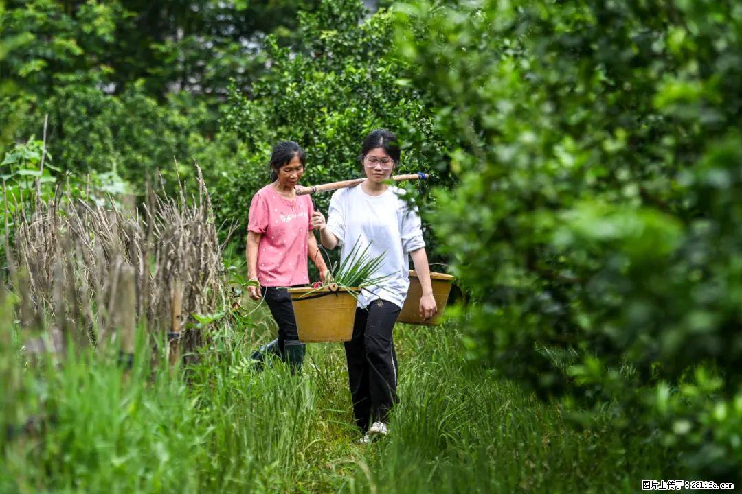全网追的“扁担女孩”，找了一份暑假工，时薪12元 - 泰安生活资讯 - 泰安28生活网 ta.28life.net