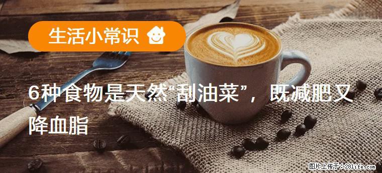 【生活小常识】6种食物是天然“刮油菜”，既减肥又降血脂 - 泰安生活资讯 - 泰安28生活网 ta.28life.net