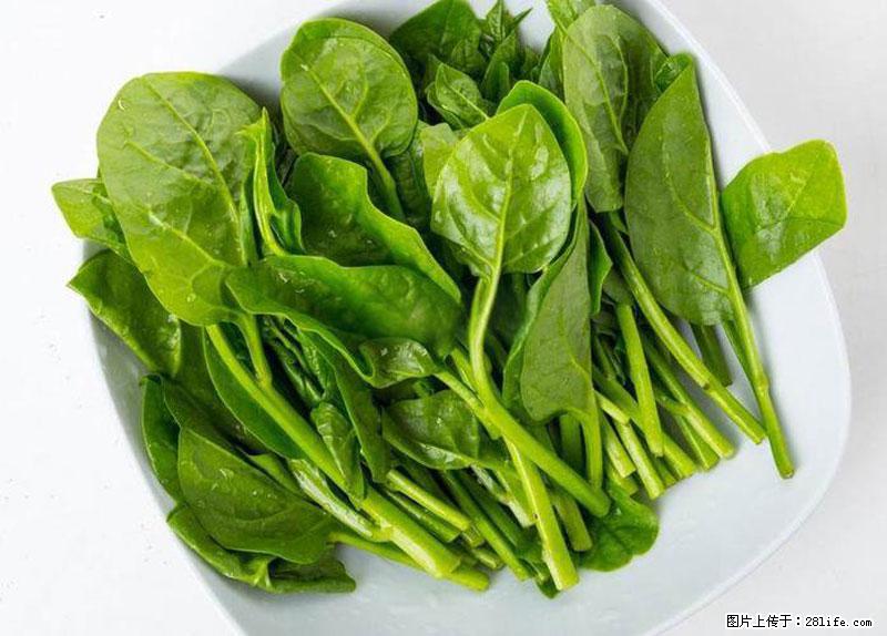 这些蔬菜是“天然钙片”，这6种被医生重点推荐 - 泰安生活资讯 - 泰安28生活网 ta.28life.net