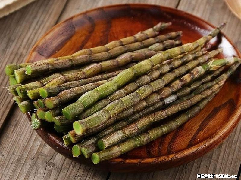 铁皮石斛的作用与功能主治 - 泰安生活资讯 - 泰安28生活网 ta.28life.net