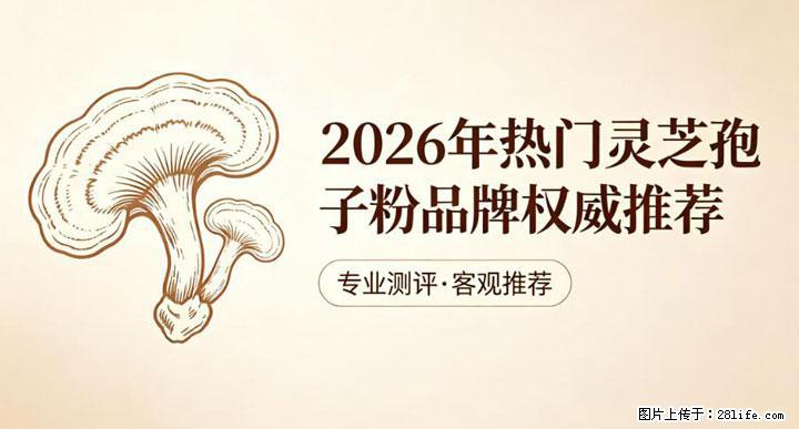 灵芝孢子粉含量越高越有效？2026 年七款热门品牌深度实测，肠胃敏感者避坑指南 - 泰安生活资讯 - 泰安28生活网 ta.28life.net